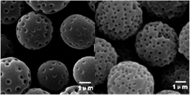 Graphical abstract: Preparation of crosslinked porous polyurea microspheres in one-step precipitation polymerization and its application for water treatment