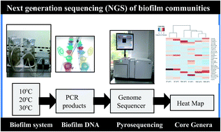 Graphical abstract: Effect of the chemical composition of filter media on the microbial community in wastewater biofilms at different temperatures