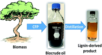 Graphical abstract: Production and distillative recovery of valuable lignin-derived products from biocrude