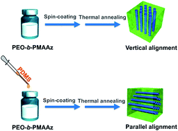 Graphical abstract: Polydimethylsiloxane-assisted alignment transition from perpendicular to parallel of cylindrical microdomains in block copolymer films