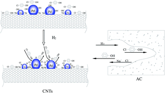 Graphical abstract: The reaction mechanism for highly effective hydrodechlorination of p-chlorophenol over a Pd/CNTs catalyst