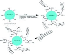 Graphical abstract: High adsorption capacity by creating a hydrophobic/hydrophilic layer on the surface of silicalite-1