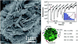 Graphical abstract: One-step synthesis of flower-shaped WO3 nanostructures for a high-sensitivity room-temperature NOx gas sensor