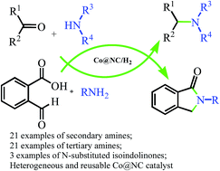 Graphical abstract: Heterogeneous cobalt catalysts for reductive amination with H2: general synthesis of secondary and tertiary amines