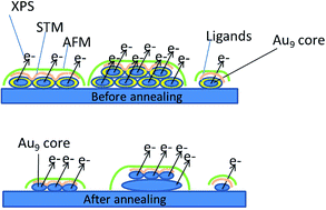 Graphical abstract: Grouping and aggregation of ligand protected Au9 clusters on TiO2 nanosheets