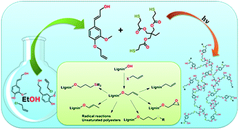 Graphical abstract: Allylation of a lignin model phenol: a highly selective reaction under benign conditions towards a new thermoset resin platform