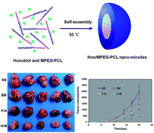 Graphical abstract: Preparation of honokiol with biodegradable nanoparticles for treatment of osteosarcoma