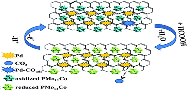 Graphical abstract: Facile synthesis of Pd/PDDA-GN/PMo11Co composite and its enhanced catalytic performance for formic acid oxidation