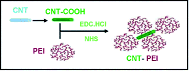 Graphical abstract: Effect of hyperbranched polyethyleneimine grafting functionalization of carbon nanotubes on mechanical, thermal stability and electrical properties of carbon nanotubes/bismaleimide composites