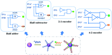 Graphical abstract: Effective construction of a AuNPs–DNA system for the implementation of various advanced logic gates