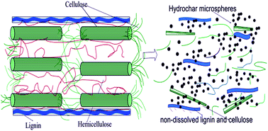 Graphical abstract: Morphology evolution, formation mechanism and adsorption properties of hydrochars prepared by hydrothermal carbonization of corn stalk