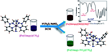 Graphical abstract: Nitric oxide (NO) reactivity studies on mononuclear iron(ii) complexes supported by a tetradentate Schiff base ligand