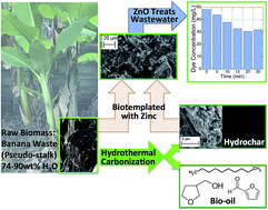 Graphical abstract: Sustainable waste mitigation: biotemplated nanostructured ZnO for photocatalytic water treatment via extraction of biofuels from hydrothermal carbonization of banana stalk