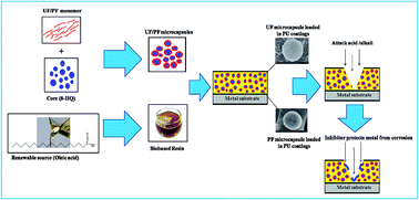 Graphical abstract: Encapsulation of 8-HQ as a corrosion inhibitor in PF and UF shells for enhanced anticorrosive properties of renewable source based smart PU coatings