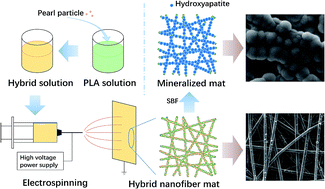 Graphical abstract: Electrospinning of PLA/pearl powder nanofibrous scaffold for bone tissue engineering