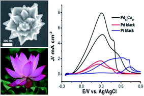 Graphical abstract: One-pot synthesis of lotus-shaped Pd–Cu hierarchical superstructure crystals for formic acid oxidation