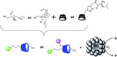 Graphical abstract: Active hydrogenation Rh nanocatalysts protected by new self-assembled supramolecular complexes of cyclodextrins and surfactants in water