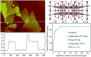 Graphical abstract: Preparation of ultrathin perovskite nanosheets by the exfoliation of H2CaTa2O7 for high-performance lead removal from water
