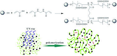 Graphical abstract: Ultraviolet-induced polymerization of superabsorbent composites based on sodium humate and its urea release behavior