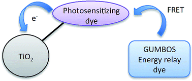 Graphical abstract: Improving energy relay dyes for dye-sensitized solar cells by use of a group of uniform materials based on organic salts (GUMBOS)