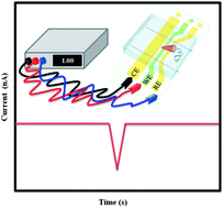 Graphical abstract: Detecting the complex motion of self-propelled micromotors in microchannels by electrochemistry