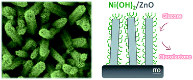 Graphical abstract: Hierarchical ZnO nanorods/Ni(OH)2 nanoflakes for room-temperature, cheap fabrication of non-enzymatic glucose sensors