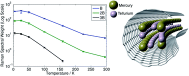 Graphical abstract: Coherence lifetime broadened optical transitions in a 2 atom diameter HgTe nanowire: a temperature dependent resonance Raman study