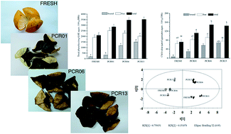 Graphical abstract: Effects of aging on the phytochemical profile and antioxidative activity of Pericarpium Citri Reticulatae ‘Chachiensis’