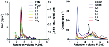 Graphical abstract: Profiling changes to natively-bound metals during Caenorhabditis elegans development