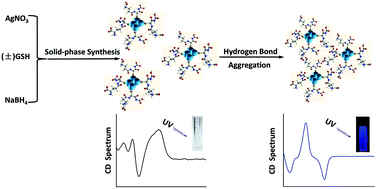 Graphical abstract: Synthesis of chiral fluorescence silver nano-clusters and study on the aggregation-induced emission enhancement and chiral flip