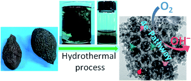 Graphical abstract: Ultrafine N-doped carbon nanoparticles with controllable size to enhance electrocatalytic activity for oxygen reduction reaction