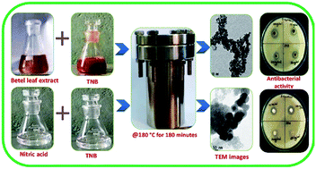 Graphical abstract: Biogenic and chemogenic synthesis of TiO2 NPs via hydrothermal route and their antibacterial activities