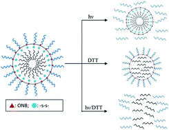 Graphical abstract: Dual-stimuli-responsive glycopolymer bearing a reductive and photo-cleavable unit at block junction