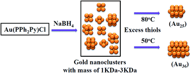 Graphical abstract: Controlled synthesis of pure Au25(2-Nap)18 and Au36(2-Nap)24 nanoclusters from 2-(diphenylphosphino)pyridine protected Au nanoclusters