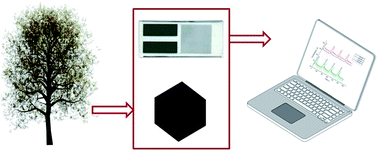 Graphical abstract: Wood identification by a portable low-cost polymer-based electronic nose