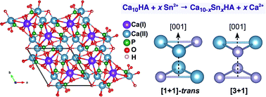 Graphical abstract: Energetics of Sn2+ isomorphic substitution into hydroxylapatite: first-principles predictions