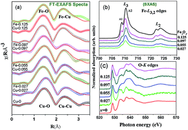 Graphical abstract: X-ray structural studies on solubility of Fe substituted CuO