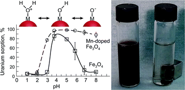 Graphical abstract: Magnetic iron oxide and manganese-doped iron oxide nanoparticles for the collection of alpha-emitting radionuclides from aqueous solutions