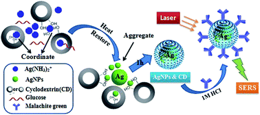 Graphical abstract: Synthesis and application of colloidal beta-cyclodextrin-decorated silver nanoparticles for rapid determination of malachite green in environmental water using surface-enhanced Raman spectroscopy