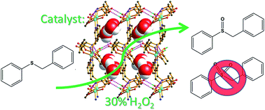 Graphical abstract: Structure-induced catalysis enhancement of Cu-amino catalysts for rapidly selective oxidation of sulfides in the presence of H2O2