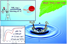 Graphical abstract: Hybrid Mn3O4–NiO nanocomposites as efficient photoelectrocatalysts towards water splitting under neutral pH conditions