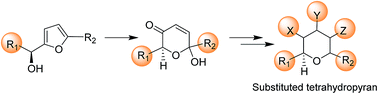 Graphical abstract: Achmatowicz reaction and its application in the syntheses of bioactive molecules