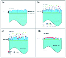 Graphical abstract: Characterization and biodegradation behavior of micro-arc oxidation coatings formed on Mg–Zn–Ca alloys in two different electrolytes