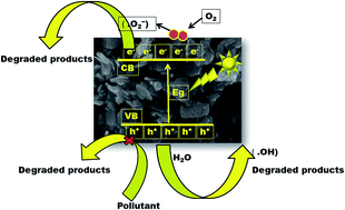 Graphical abstract: Electronic band structure and visible-light photocatalytic activity of Bi2WO6: elucidating the effect of lutetium doping