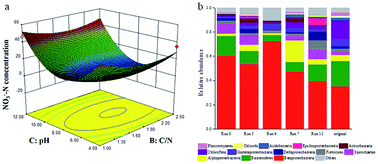 Graphical abstract: Bioremediation of nitrate and Fe(ii) combined contamination in groundwater by heterotrophic denitrifying bacteria and microbial community analysis