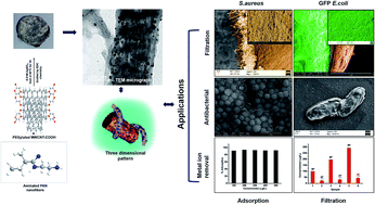 Graphical abstract: Dual applications of silver nanoparticles incorporated functionalized MWCNTs grafted surface modified PAN nanofibrous membrane for water purification