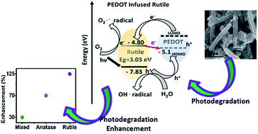 Graphical abstract: Poly(3,4-ethylenedioxythiophene) (PEDOT) infused TiO2 nanofibers: the role of hole transport layer in photocatalytic degradation of phenazopyridine as a pharmaceutical contaminant