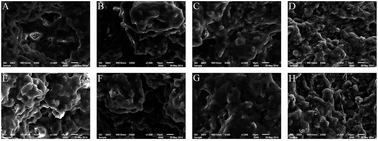 Graphical abstract: Microbiote shift in sequencing batch reactors in response to antimicrobial ZnO nanoparticles