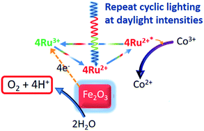 Graphical abstract: Visible light promoted photocatalytic water oxidation: effect of fluctuating light intensity upon reaction efficiency