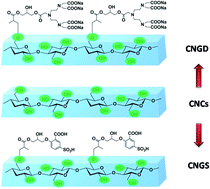 Graphical abstract: Adsorption of ionic liquid from aqueous solutions using functional corncob-cellulose nanocrystals